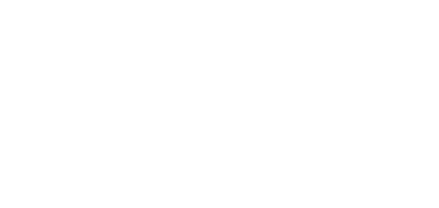 Great Nothern Window Cleaning Logo
